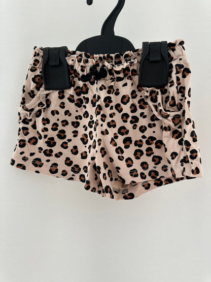 Top & Hose Set im Leopardenmuster Gr. 74 | Secondhand | MiniMoments