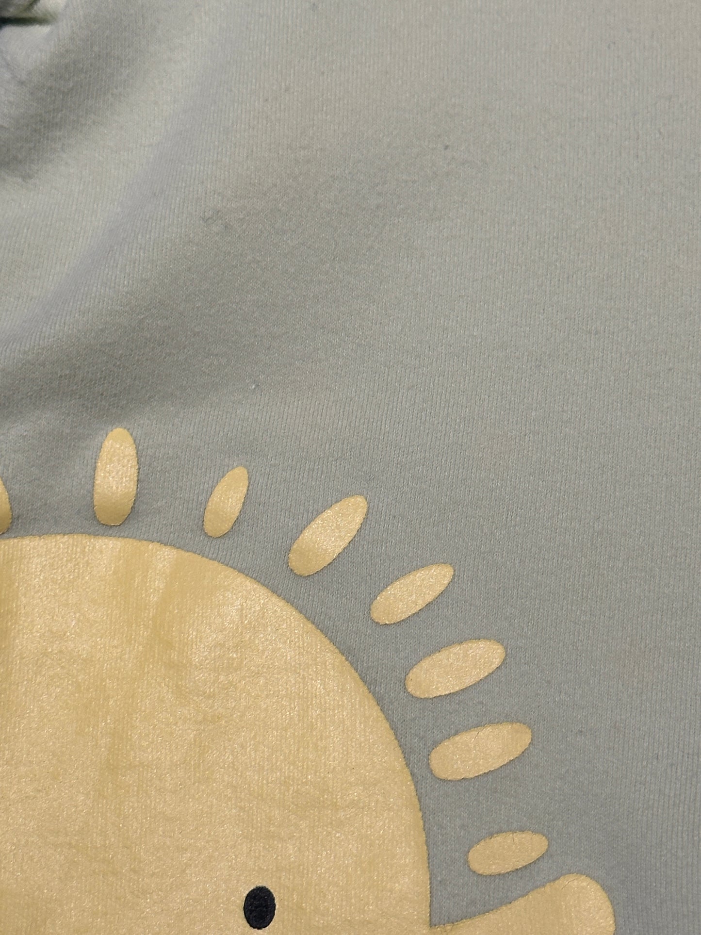 T-Shirt Gr. 68/74 | Secondhand | MiniMoments