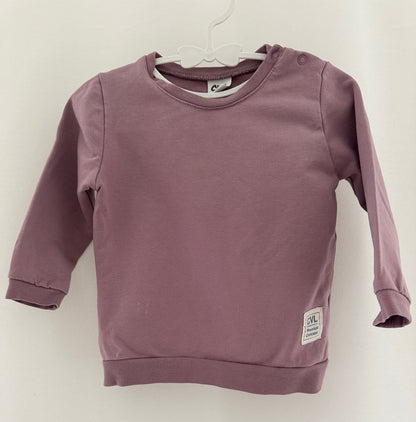 Pullover + Hose Set Gr. 80/86 | Secondhand | MiniMoments